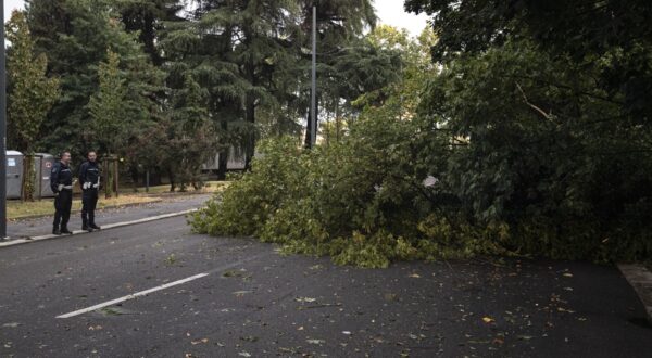 Via Ferdinando Bocconi
Milano - Italia - Cronaca
Mercoledì, 07 Agosto, 2024 ()

Bad weather in Milan thunderstorms rain and wind in Piazza DuomoDiscomforts Fallen trees cars blocked due to bad weather in Milan
Milan, Italy - News
Wednesday, 07 August, 2024 (),Image: 896864297, License: Rights-managed, Restrictions: , Model Release: no, Credit line: Marco Ottico / LaPresse / Profimedia