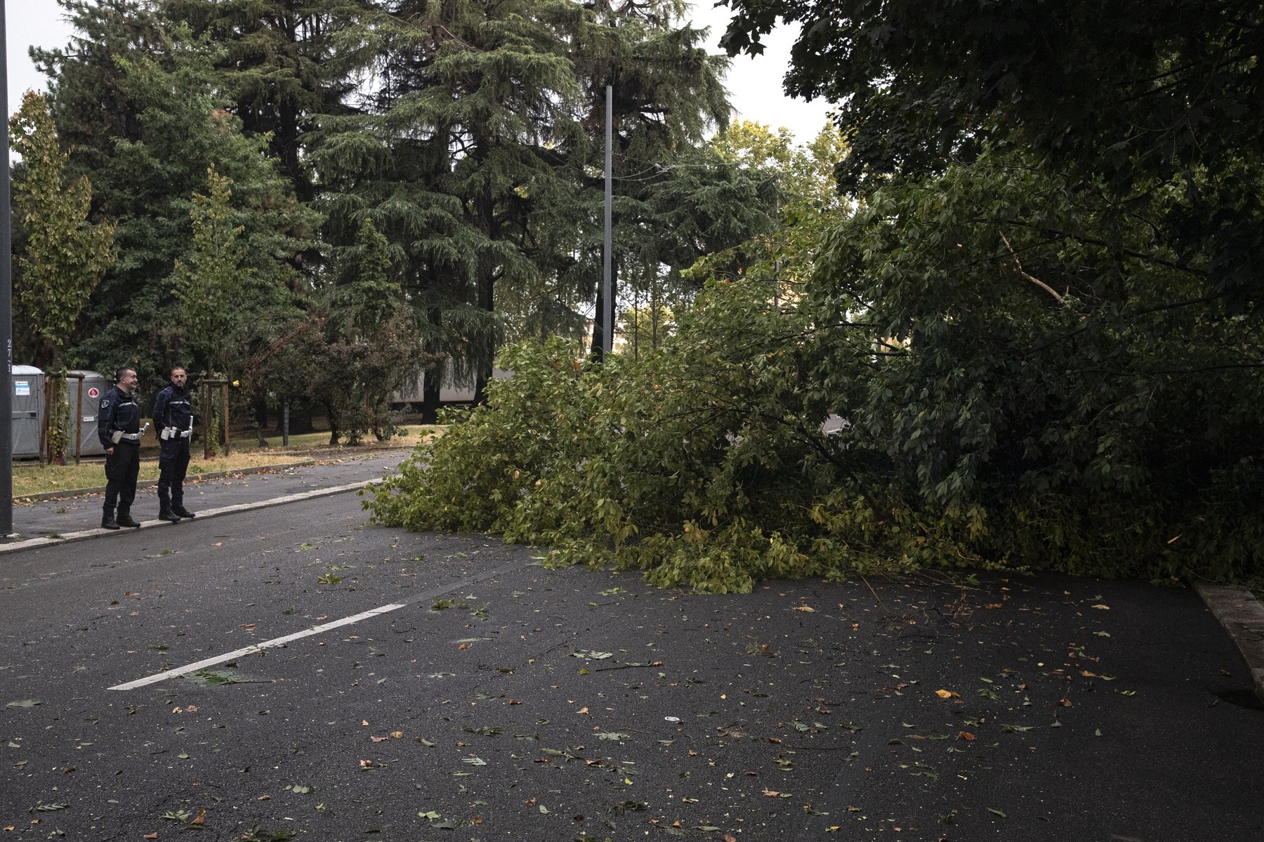 Via Ferdinando Bocconi
Milano - Italia - Cronaca
Mercoledì, 07 Agosto, 2024 ()

Bad weather in Milan thunderstorms rain and wind in Piazza DuomoDiscomforts Fallen trees cars blocked due to bad weather in Milan
Milan, Italy - News
Wednesday, 07 August, 2024 (),Image: 896864297, License: Rights-managed, Restrictions: , Model Release: no, Credit line: Marco Ottico / LaPresse / Profimedia