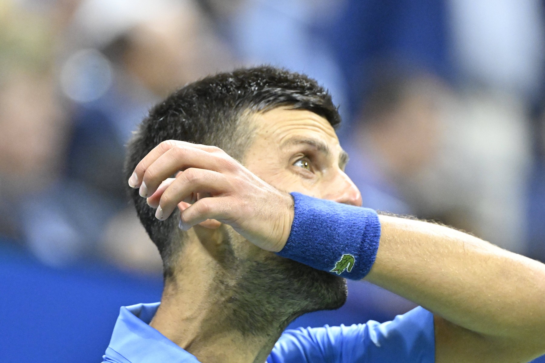 Tennis : Us Open 2024 - Novak Djokovic - Serbie Tennis :Us Open 2024 - Usa - 31/08/2024 ChrysleneCaillaud/Panoramic,Image: 903377266, License: Rights-managed, Restrictions: PUBLICATIONxNOTxINxFRAxBEL, Model Release: no, Credit line: Chryslene Caillaud / Panoramic / imago sportfotodienst / Profimedia