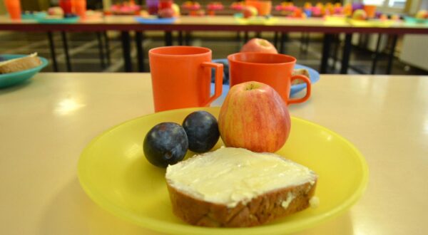 07.09.2017., Bjelovar - Grad Bjelovar prvi je u Hrvatskoj uvrstio zdravu domacu hranu u osnovne skole i vrtice. Naime, kako bi pomogao domacim obiteljskim poljoprivrednim gospodarstvima te kako bi se nasa djeca hranila kvalitetno, Grad Bjelovar je odlucio pokrenuti projekt pod nazivom 'Bjelovarski dorucak'. Rijec je o suradnji bjelovarskih OPG-a s osnovnim skolama i vrticima u smislu opskrbljivanja kuhinja s domacom hranom. Provedba projekta pocinje s ovom skolskom godinom. Photo: Damir Spehar/PIXSELL