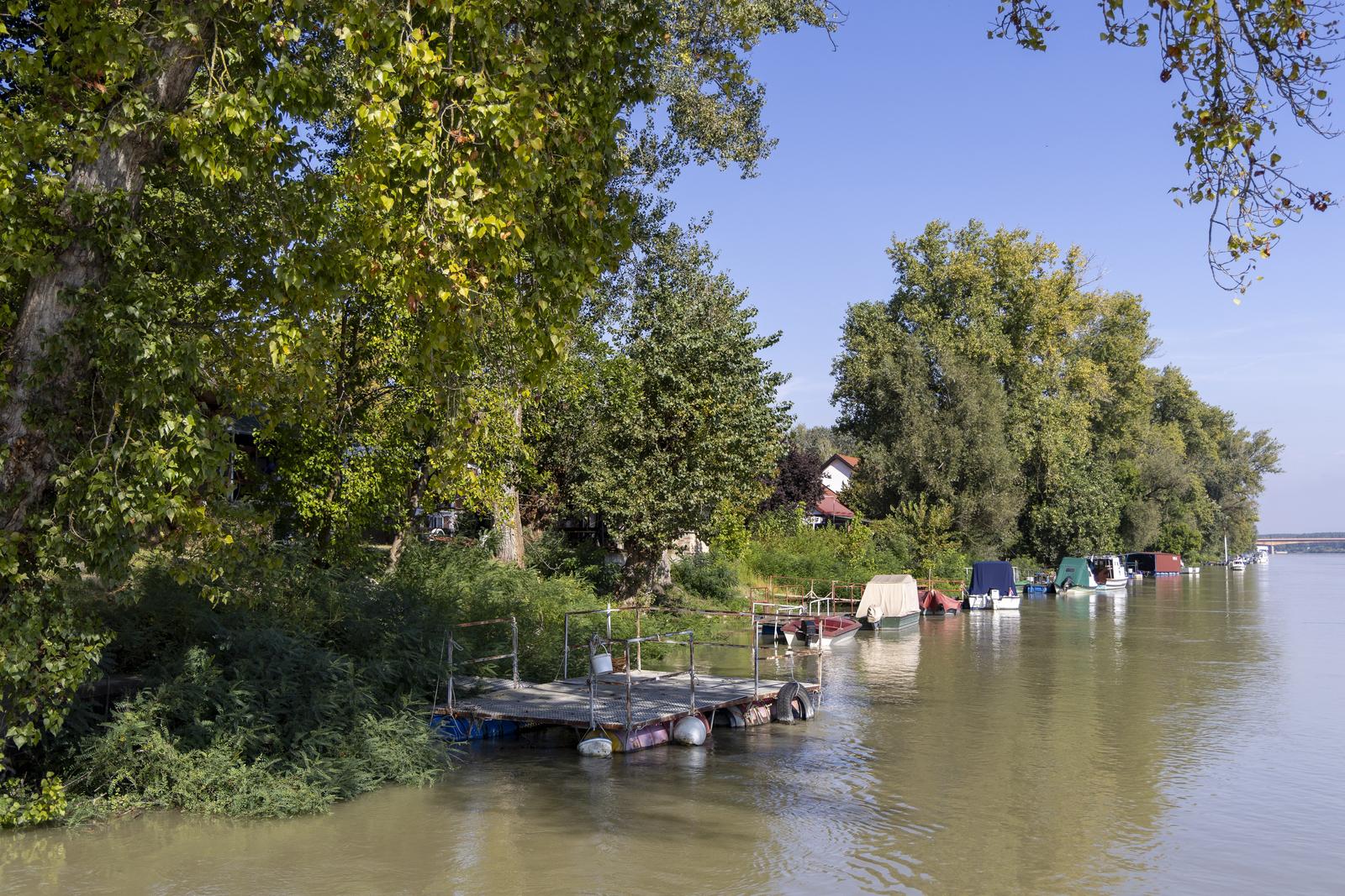 18.09.2024., Batina - Zeleni otok i Batina pripremaju se za dolazak vodenog vala na Dunavu koji stize krajem tjedna. Procjene su da bi vodostaj mogao dosegnuti do 750 centimetara. Mjestani pune vrece s pijeskom kako bi napravili zecje nasipe te postavljaju grede na prolazima za camce, a u naselju Zeleni otok namjestaj i ostalu vrijednu imovinu prebacuju na kat.  Photo: Borna Jaksic/PIXSELL