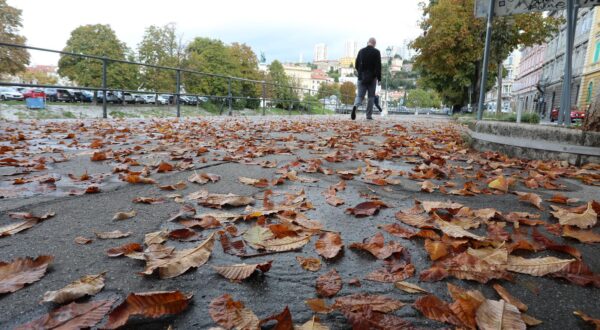 24.09.2024., Rijeka - Otpalo lisce i plodovi divljeg kestena sa stabala uz Rjecinu na setalistu Andrije Kacica Miosica. Photo: Goran Kovacic/PIXSELL