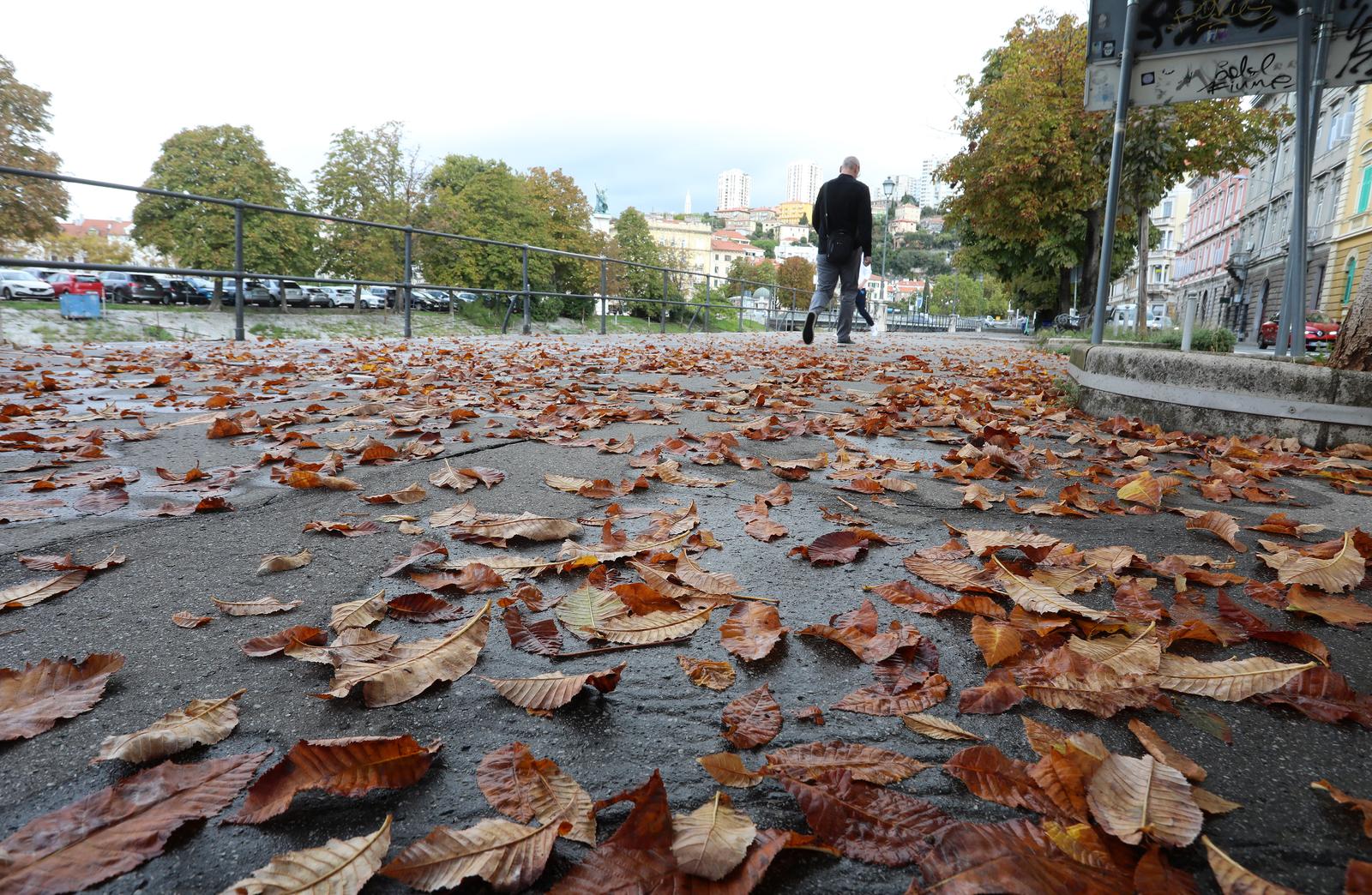 24.09.2024., Rijeka - Otpalo lisce i plodovi divljeg kestena sa stabala uz Rjecinu na setalistu Andrije Kacica Miosica. Photo: Goran Kovacic/PIXSELL