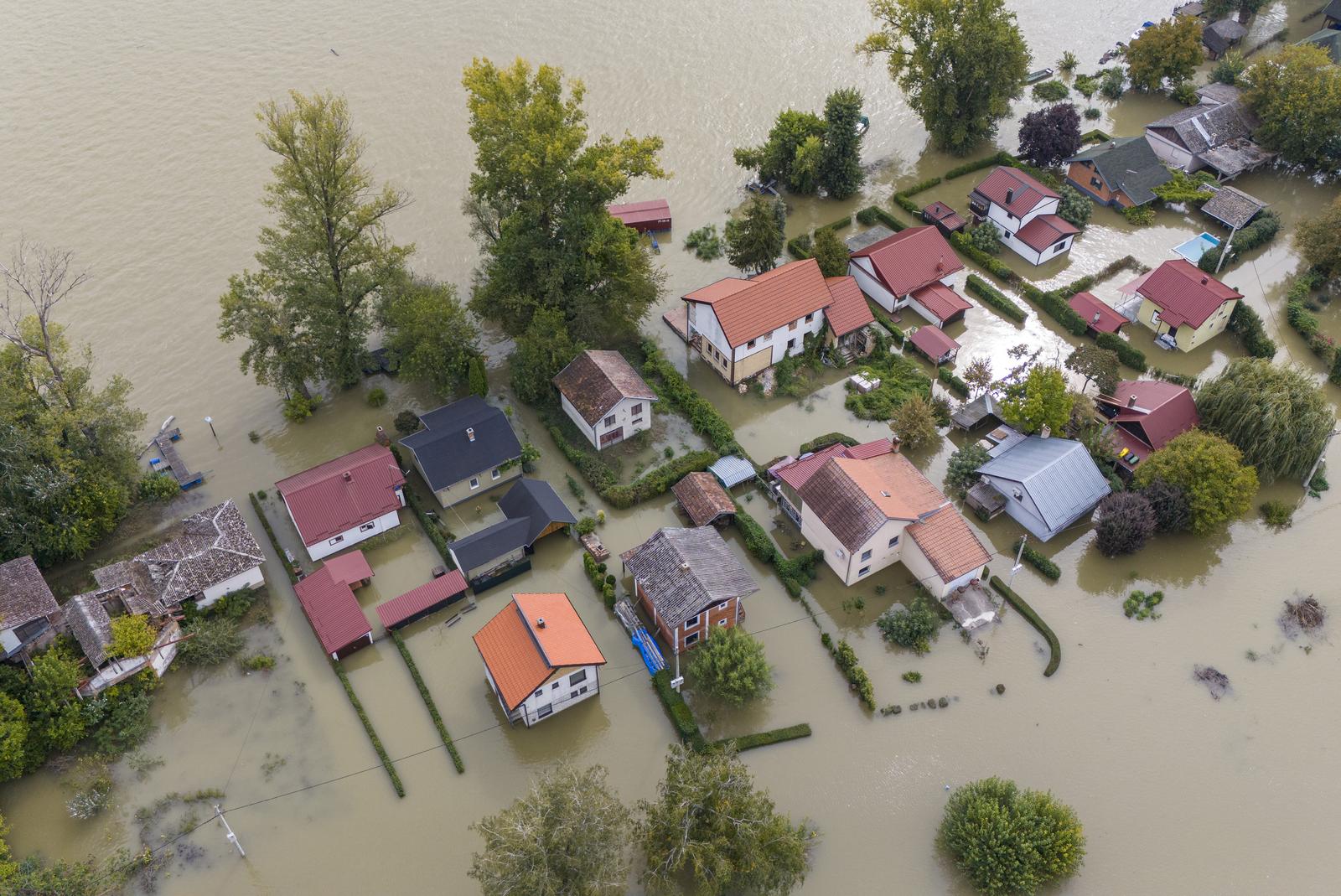 24.09.2024., Batina - Visoki vodostaj Dunava kod mjesta Batina u Baranji. Zeleni otok Photo: Davor Javorovic/PIXSELL