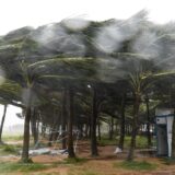 HAIKOU, Sept. 6, 2024  -- Coconut trees struggle in the strong wind on a street before the landfall of super typhoon Yagi in Haikou, south China's Hainan Province, Sept. 6, 2024.
  Super Typhoon Yagi, the 11th typhoon of this year, made landfall in south China's Hainan Province on Friday afternoon, according to the province's emergency management headquarters.
  The typhoon has brought heavy rainfall across most of the island, with severe rainstorms in certain townships and villages. The northern part of Hainan has experienced strong winds ranging from level 13 to 16, while some cities and counties have faced power outages.,Image: 905222348, License: Rights-managed, Restrictions: , Model Release: no, Credit line: Yang Guanyu / Xinhua News / Profimedia