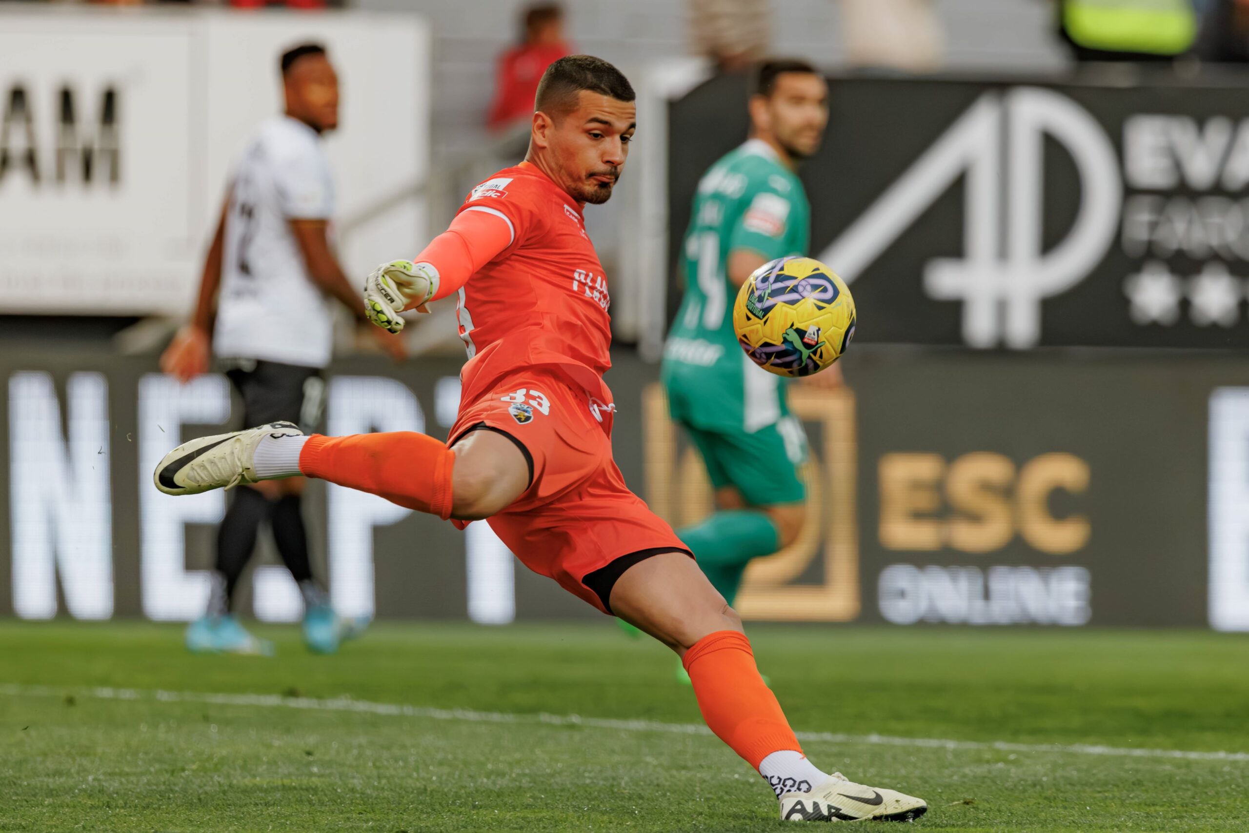 Ricardo Velho during Liga Portugal game between SC Farense and Rio Ave FC, Estadio de Sao Luis, Faro, Portugal. (Maciej Rogowski) Faro Estadio de Sao Luis Portugal Copyright: xMaciejxRogowskix farenserioavefull-48