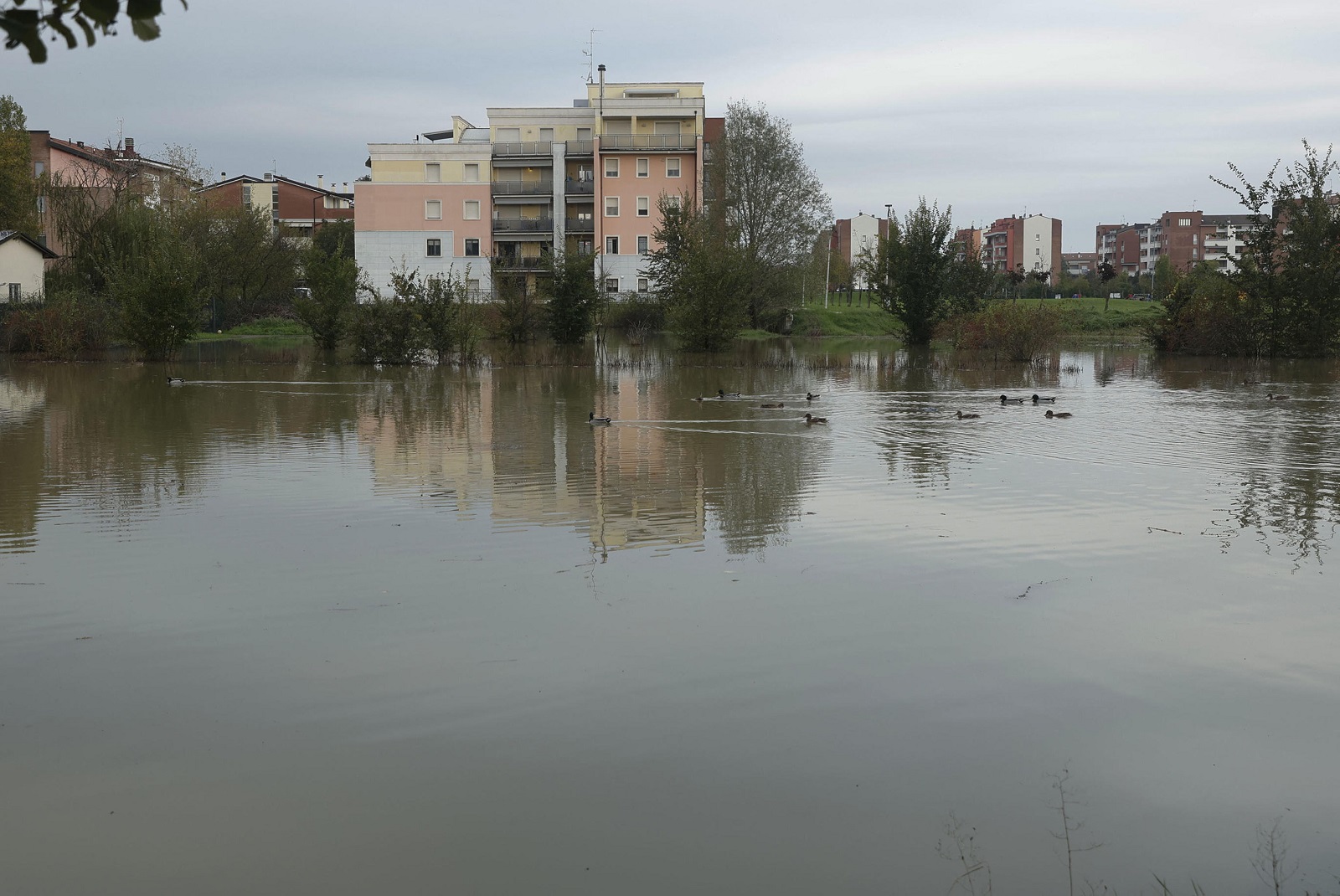 epa11670520 A flooded area due to the overflowing of a canal on the northern outskirts of Modena, Emilia-Romagna, Italy, 20 October 2024. A wave of bad weather hit Italy on 19 October prompting bad weather alerts across the country, from Emilia Romagna, where schools were closed in three provinces just a month after the region was hit by its third flood, and the northeastern Veneto region.  EPA/ELISABETTA BARACCHI