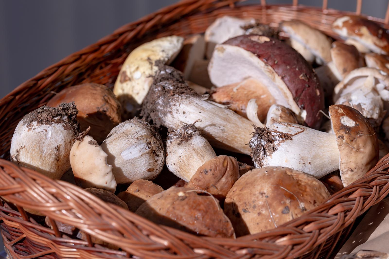 30.09.2022., Gospic - Na Trgu Stjepana Radica otvoreno je 24 izdanje tradicionalnog sajma Jesen u Lici na kojoj obtrnici like promoviraju svoje proizvode.  Photo: Dino Stanin/PIXSELL