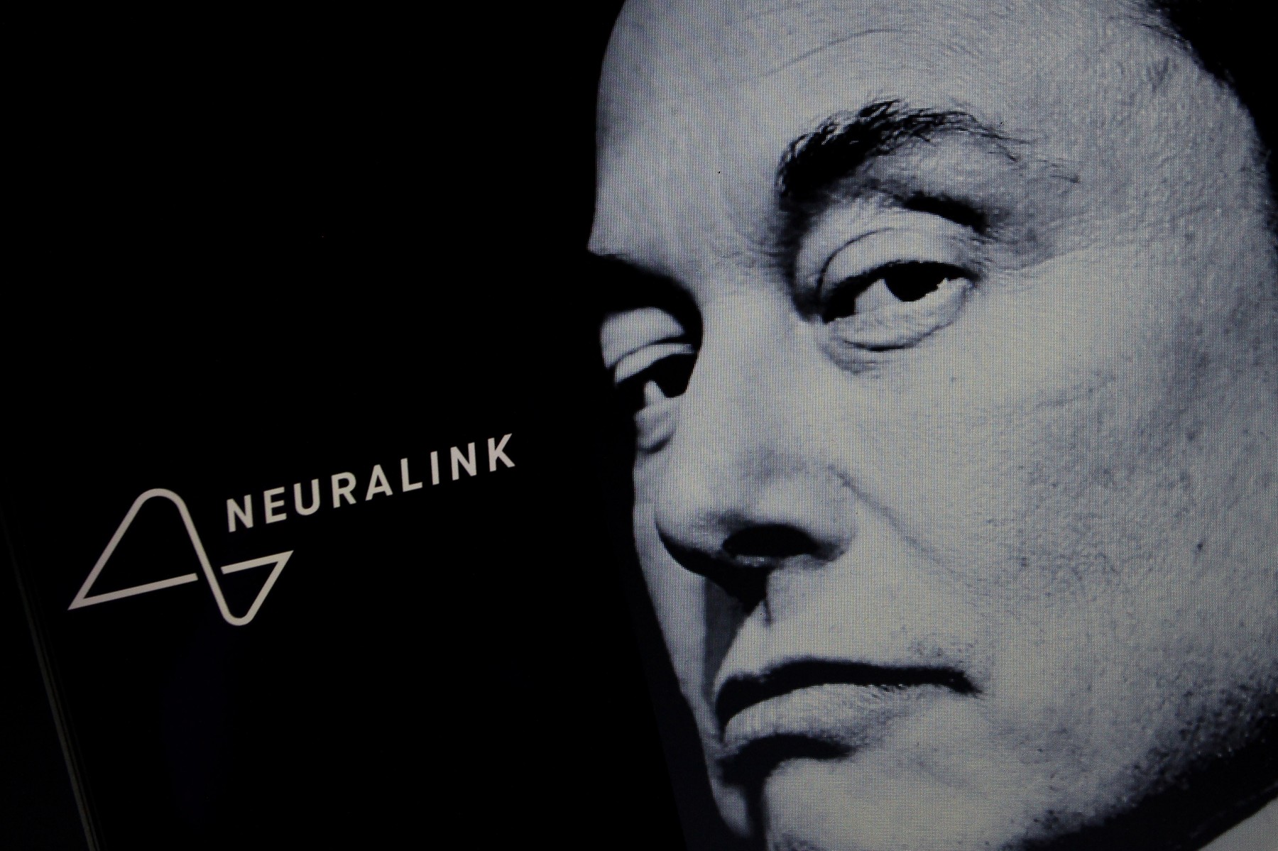 January 31, 2024, Sleman, Yogyakarta, Indonesia: In this photo illustration, the logo of the American neurotechnology company founded by Elon Musk to develop an implantable brainâ€“computer interface, Neuralink, is visible on the smartphone screen. Elon Musk announced that his neurotechnology company, Neuralink, has successfully implanted a chip in a human brain for the first time. According to Musk, the chip can control devices or gadgets simply through thought.,Image: 842063048, License: Rights-managed, Restrictions: , Model Release: no, Credit line: Angga Budhiyanto / Zuma Press / Profimedia