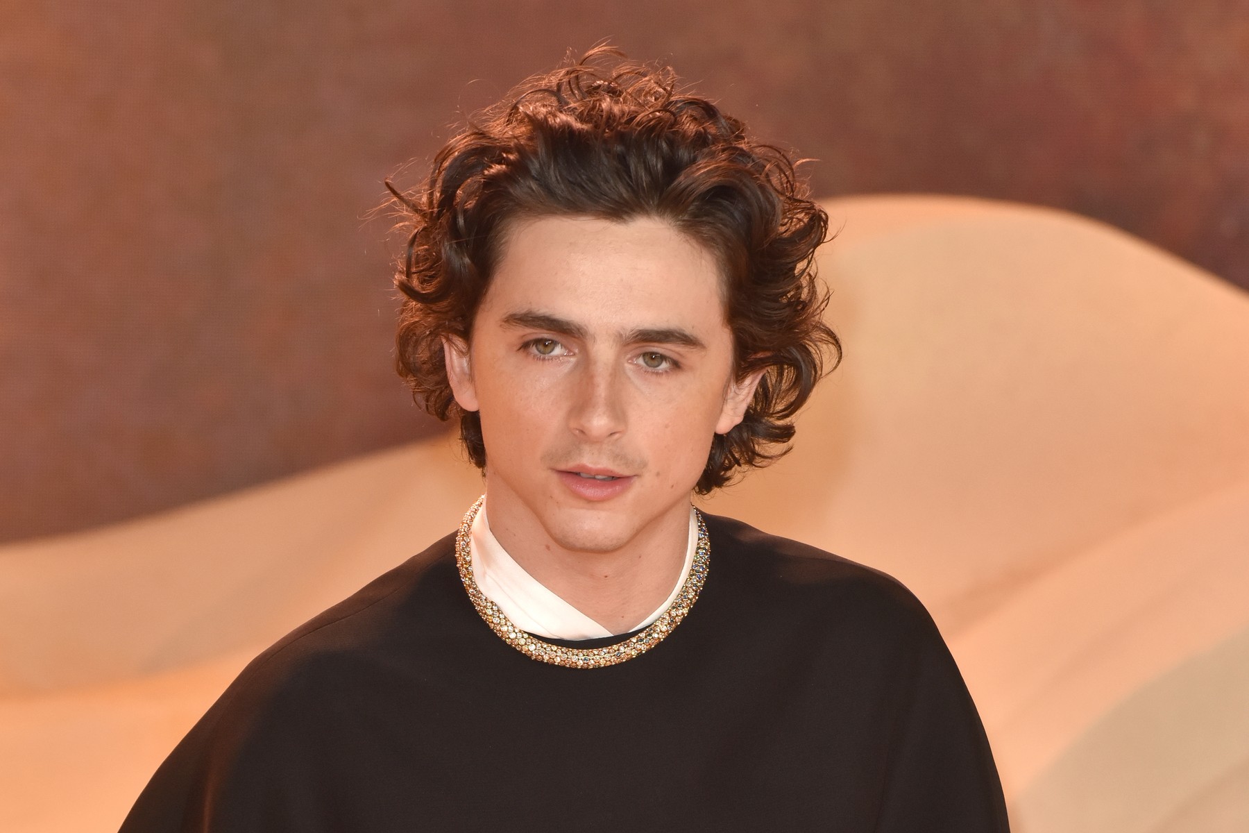 Timothée Chalamet at the Warner Bros. Pictures & Legendary Present the World Premiere of Dune: Part Two, in Leicester Square, London, England. UK. Thursday 15th February 2024 -,,Image: 847123644, License: Rights-managed, Restrictions: Restrictions:
NORESTRICTIONS, Model Release: no, Credit line: JW / Avalon / Profimedia