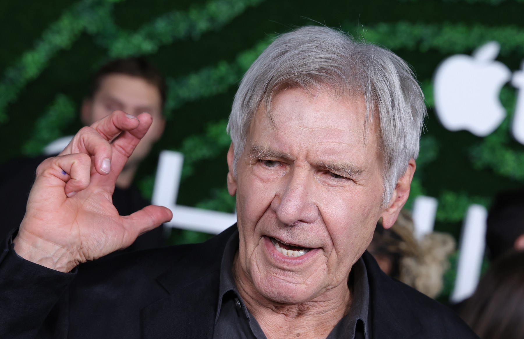 World Premiere Of Apple TV+ 'Shrinking' Season 2 at Pacific Design Center in West Hollywood, United States

Featuring: Harrison Ford
Where: West Hollywood, California, United States
When: 09 Oct 2024
Credit: Faye's Vision/INSTARimages,Image: 918796292, License: Rights-managed, Restrictions: , Model Release: no, Credit line: - / INSTAR Images / Profimedia