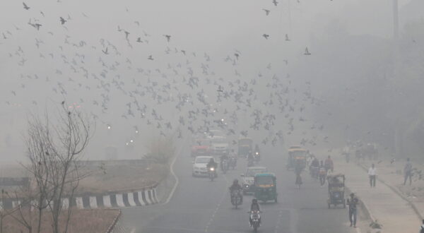 epa11717657 Vehicles move on a road as the city is covered in smog in New Delhi, India, 13 November 2024. According to the Central Pollution Control Board the National Capital Region's Air Quality Index (AQI) continues to label New Delhi in the 'very poor’ category and also some parts of Delhi's air quality index was in the 'Severe' category breaching the 400 mark.  EPA/RAJAT GUPTA