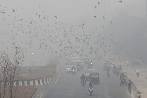 epa11717657 Vehicles move on a road as the city is covered in smog in New Delhi, India, 13 November 2024. According to the Central Pollution Control Board the National Capital Region's Air Quality Index (AQI) continues to label New Delhi in the 'very poor’ category and also some parts of Delhi's air quality index was in the 'Severe' category breaching the 400 mark.  EPA/RAJAT GUPTA