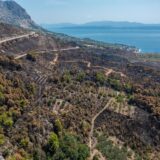 03.08.2024. Gornje Tucepi
Fotografije iz zraka opožarenog podrucja od Tucepi do Gornje Podgore i Parka prirode Biokovo. Photo: Matko Begovic/PIXSELL