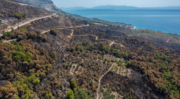 03.08.2024. Gornje Tucepi
Fotografije iz zraka opožarenog podrucja od Tucepi do Gornje Podgore i Parka prirode Biokovo. Photo: Matko Begovic/PIXSELL