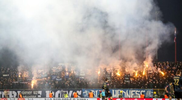 09.11.2024., stadion Velika Gorica - 13. kolo SuperSport HNL-a: HNK Gorica - GNK Dinamo Zagreb. Photo: Slavko Midzor/PIXSELL