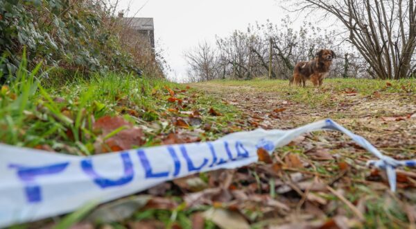 04.12.2024.,  Ljubej Kalnicki - Otkrice u opcini Ljubescica gdje su dva zakopana tijela novorodjencadi pronadjena u sumi pokraj obiteljske kuce. Photo: Sanjin Strukic/PIXSELL