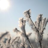 13.12.2012., Zagreb - Naselje Slobostina probudilo se prekriveno injem obasjano suncevim zrakama. r"nPhoto: Marko Prpic/PIXSELL