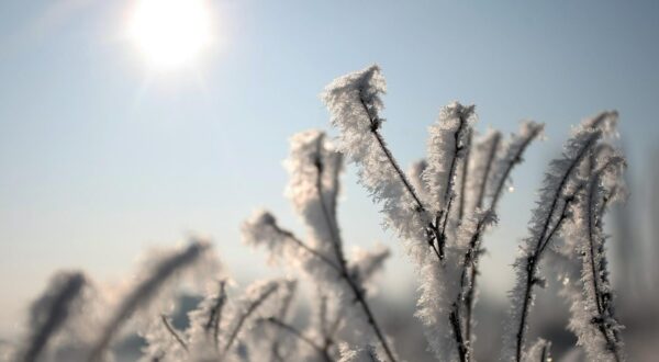 13.12.2012., Zagreb - Naselje Slobostina probudilo se prekriveno injem obasjano suncevim zrakama. r"nPhoto: Marko Prpic/PIXSELL