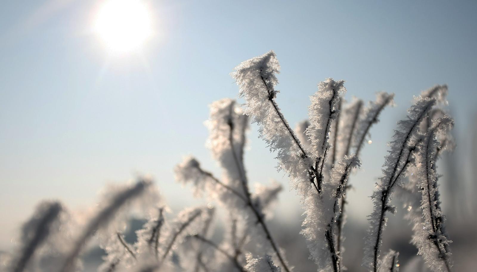 13.12.2012., Zagreb - Naselje Slobostina probudilo se prekriveno injem obasjano suncevim zrakama. r"nPhoto: Marko Prpic/PIXSELL