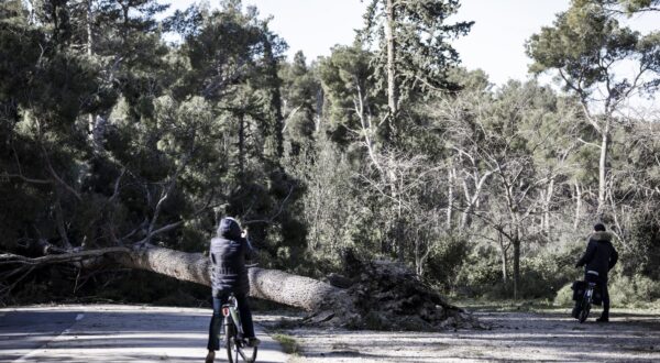 05.02.2023., Split - Steta na Marjanu nakon snazne bure. Photo: Milan Sabic/PIXSELL