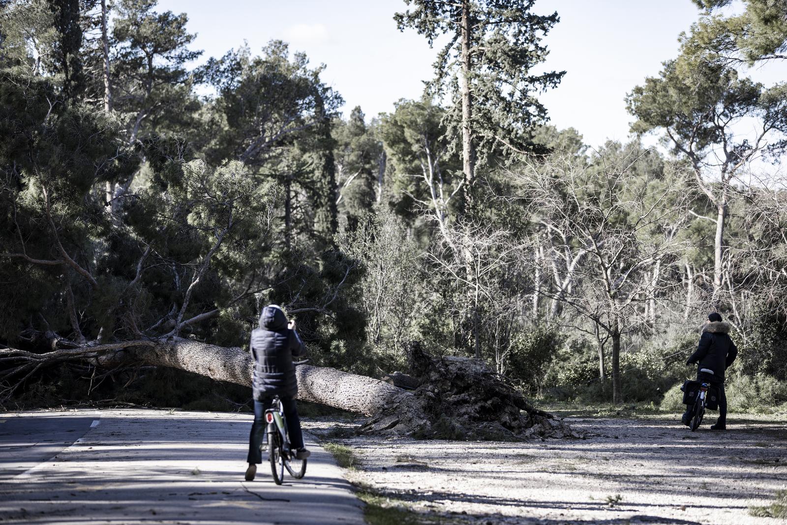 05.02.2023., Split - Steta na Marjanu nakon snazne bure. Photo: Milan Sabic/PIXSELL