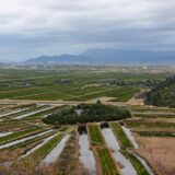 05.01.2024., Ploce - Dolina Neretve u zimsko vrijeme. Delta Neretve je dolina na jugu hrvatske u Dubrovacko-neretvanskoj zupaniji, te ju na svom uscu formira rijeka Neretva. Photo: Igor Soban/PIXSELL