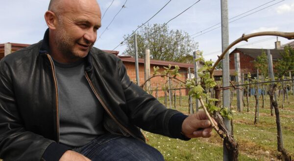 26.04.2011,Kutjevo,Hrvatska - Nogometas koji je nakon sportske karijere u Dinamu otisao za vinara i  izgradio vinariju u Kutjevu,rPhoto: Marko Mrkonjic/PIXSELL