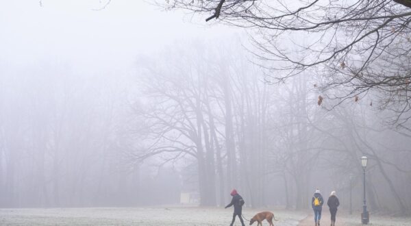 13.01.2020., Zagreb - Danas se Zagreb na temperaturama ispod nistice probudio obavijen maglom. Park Maksimir. "nPhoto: Tomislav Miletic/PIXSELL