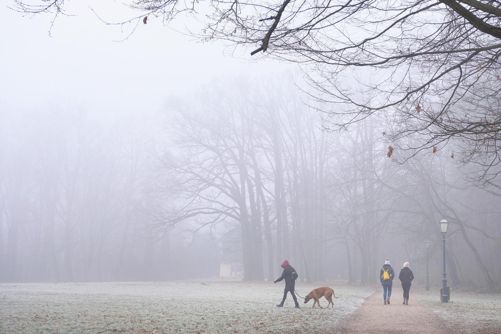 13.01.2020., Zagreb - Danas se Zagreb na temperaturama ispod nistice probudio obavijen maglom. Park Maksimir. "nPhoto: Tomislav Miletic/PIXSELL