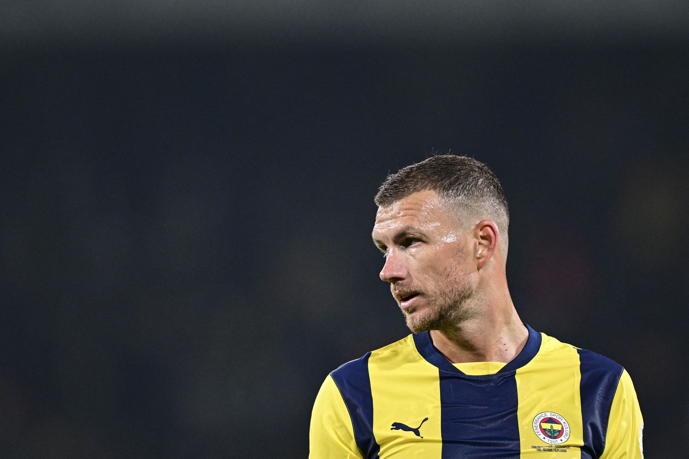 ISTANBUL, TURKIYE - JANUARY 05: Edin Dzeko of Fenerbahce gestures during the Turkish Super Lig week 18 match between Fenerbahce and Atakas Hataypor at Ulker Stadium in Istanbul, Turkiye on January 05, 2025. Oguz Yeter / Anadolu/ABACAPRESS.COM,Image: 951943043, License: Rights-managed, Restrictions: , Model Release: no, Credit line: AA/ABACA / Abaca Press / Profimedia